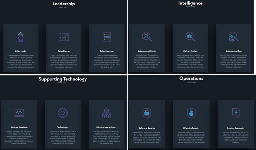 My Cyber Path將網路資訊安全分為4個中類：領導管理(Leadership)、智能(Intelligence)、支援科技(Supporting Technology)以及操作(Operation)，各中類之下分別有不同的職業。